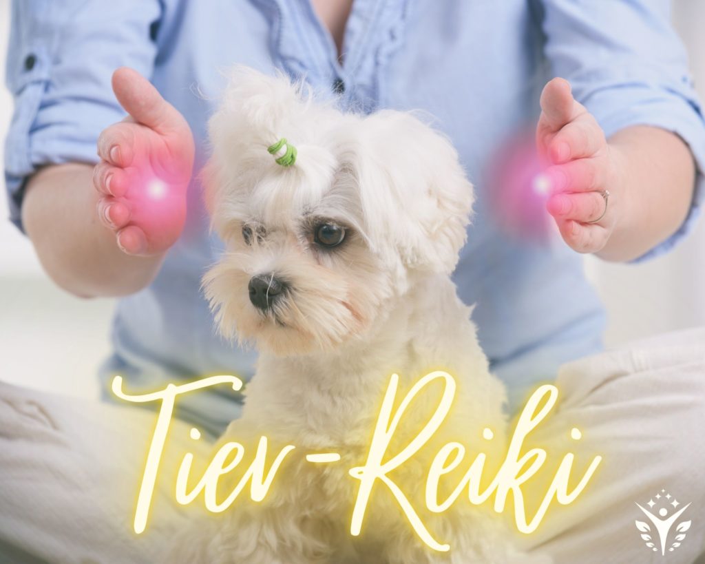 Tier-Reiki